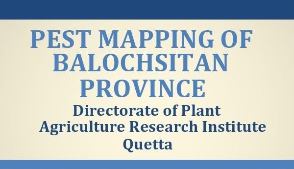 Pest Mapping Balochistan