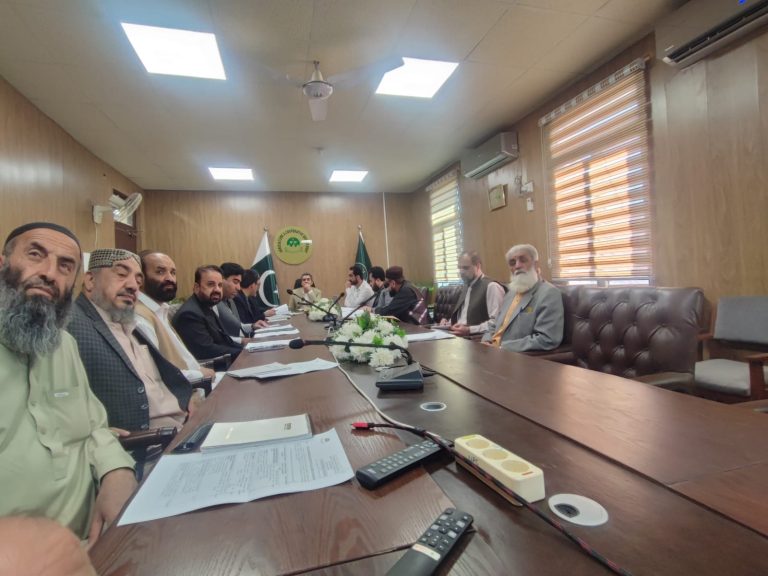 Weekly progress Meeting